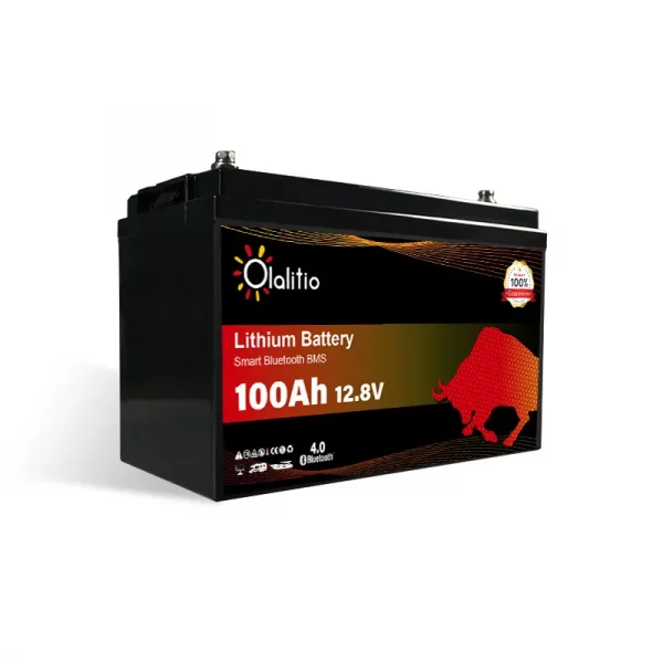 olalitio-batterie-lithium-12v-100ah-4