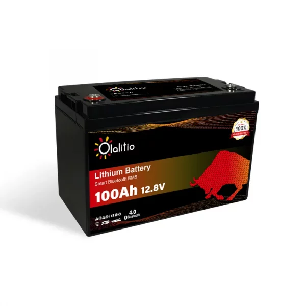 olalitio-batterie-lithium-12v-100ah-7
